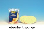 Absorbent sponge